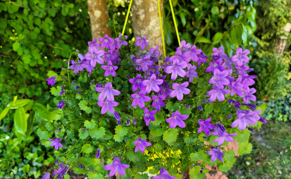 Méditation et sophrologie